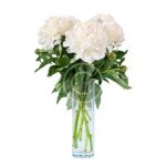 White Peony Bouquet