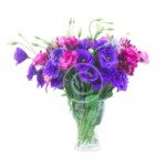 Violet Eustoma Bouquet