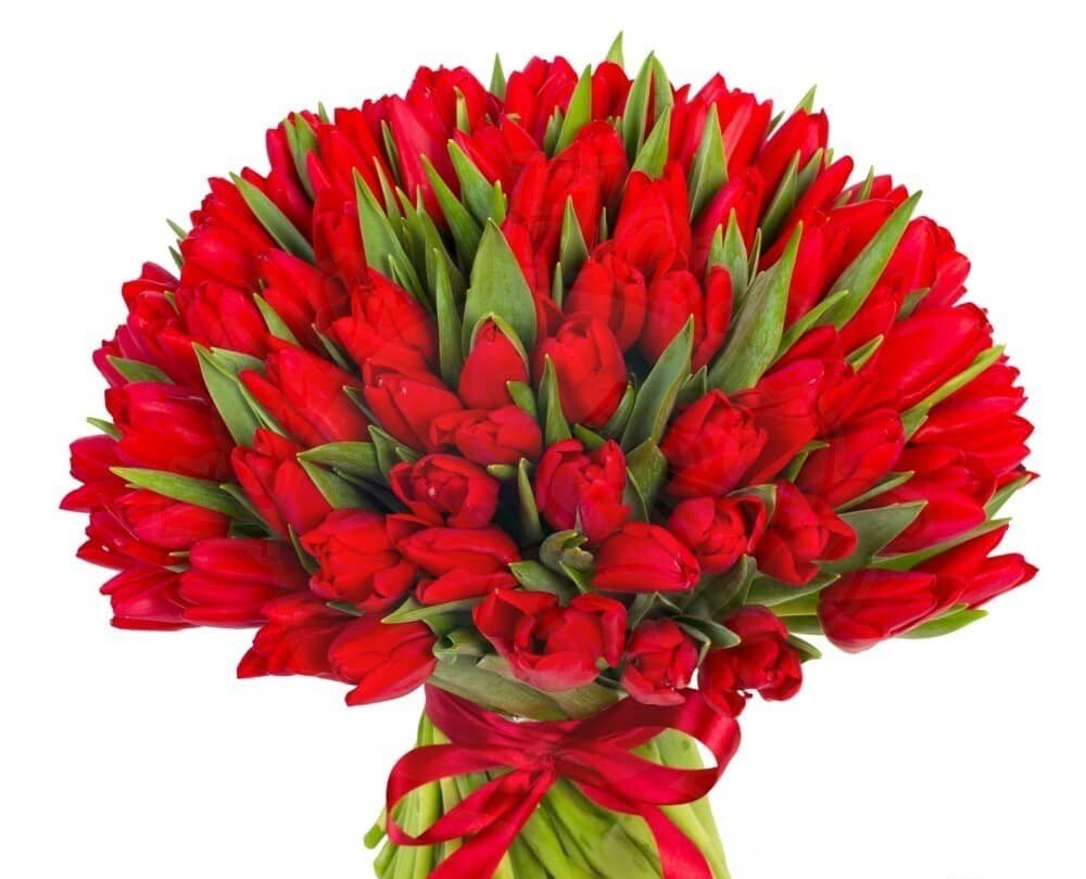 Bouquet of 100 red tulips