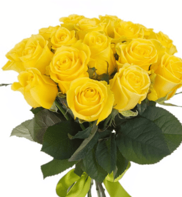 Bouquet of yellow roses