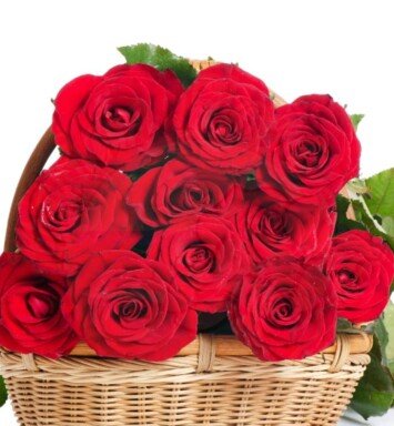 Basket of red roses