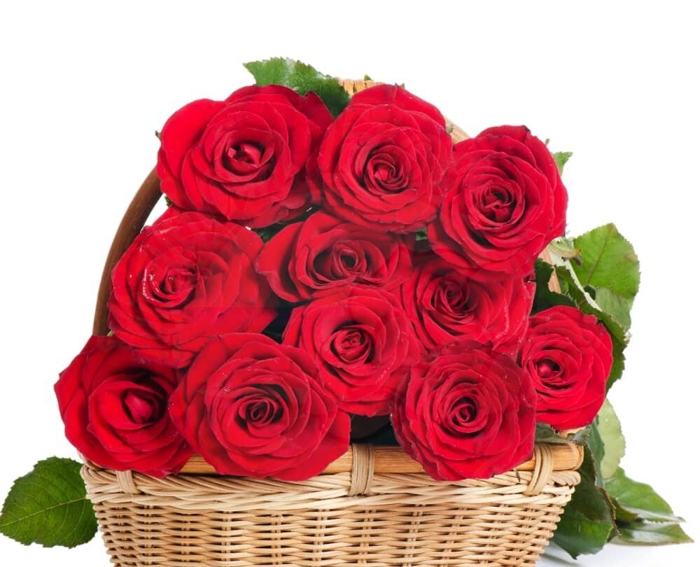 Basket of red roses