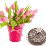 Bouquet of pink tulips with choco cakeCelebrate Special Moments with Italianflora’s Bouquet of Pink Tulips and Chocolate Cake  Discover the perfect way to express your love and admiration with Italianflora’s Bouquet of Pink Tulips with Chocolate Cake. This enchanting gift combines the timeless beauty of pink tulips with the indulgent sweetness of a premium chocolate cake, creating a heartfelt gesture that speaks volumes.  Please note that tulips are a seasonal flower, available only from February to April. Their fleeting availability makes this gift even more special and unique, perfect for creating unforgettable memories during this period.  Pink tulips are cherished for their elegance and grace, symbolizing affection, admiration, and good wishes. Each bloom conveys warmth and sincerity, making them the ideal choice for celebrating life’s special moments. Paired with a rich and decadent chocolate cake, this gift set creates a memorable experience filled with beauty and indulgence.  Whether it’s a celebration of love, gratitude, or joy, this charming combination is suitable for:  Valentine’s Day: Share a romantic gesture that will leave your loved one smiling. Anniversaries: Celebrate milestones with elegance and sweetness. Birthdays: Brighten their day with a thoughtful and delightful surprise. Expressions of Gratitude: Show your appreciation with a meaningful and luxurious gift. At Italianflora, we pride ourselves on delivering fresh and vibrant flowers, paired with premium gifts, to create moments that matter. Our Bouquet of Pink Tulips with Chocolate Cake is crafted with care, ensuring every detail reflects your heartfelt emotions.