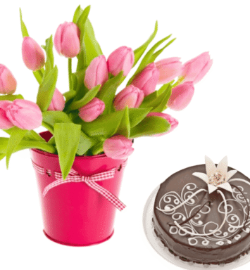 Bouquet of pink tulips with choco cakeCelebrate Special Moments with Italianflora’s Bouquet of Pink Tulips and Chocolate Cake Discover the perfect way to express your love and admiration with Italianflora’s Bouquet of Pink Tulips with Chocolate Cake. This enchanting gift combines the timeless beauty of pink tulips with the indulgent sweetness of a premium chocolate cake, creating a heartfelt gesture that speaks volumes. Please note that tulips are a seasonal flower, available only from February to April. Their fleeting availability makes this gift even more special and unique, perfect for creating unforgettable memories during this period. Pink tulips are cherished for their elegance and grace, symbolizing affection, admiration, and good wishes. Each bloom conveys warmth and sincerity, making them the ideal choice for celebrating life’s special moments. Paired with a rich and decadent chocolate cake, this gift set creates a memorable experience filled with beauty and indulgence. Whether it’s a celebration of love, gratitude, or joy, this charming combination is suitable for: Valentine’s Day: Share a romantic gesture that will leave your loved one smiling. Anniversaries: Celebrate milestones with elegance and sweetness. Birthdays: Brighten their day with a thoughtful and delightful surprise. Expressions of Gratitude: Show your appreciation with a meaningful and luxurious gift. At Italianflora, we pride ourselves on delivering fresh and vibrant flowers, paired with premium gifts, to create moments that matter. Our Bouquet of Pink Tulips with Chocolate Cake is crafted with care, ensuring every detail reflects your heartfelt emotions.