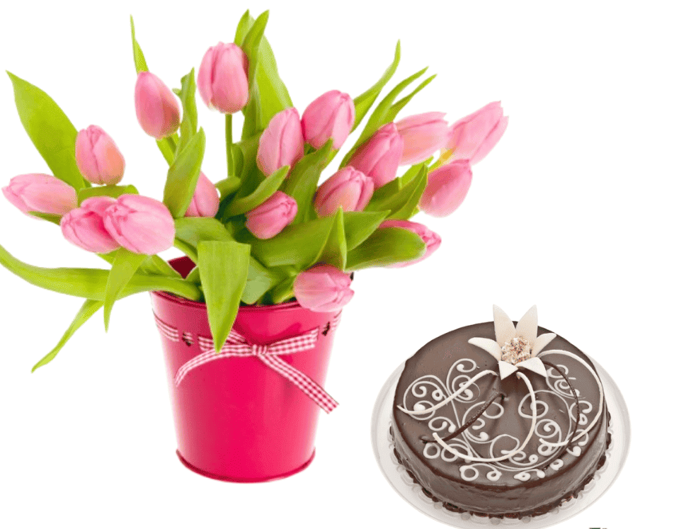 Bouquet of pink tulips with choco cakeCelebrate Special Moments with Italianflora’s Bouquet of Pink Tulips and Chocolate Cake Discover the perfect way to express your love and admiration with Italianflora’s Bouquet of Pink Tulips with Chocolate Cake. This enchanting gift combines the timeless beauty of pink tulips with the indulgent sweetness of a premium chocolate cake, creating a heartfelt gesture that speaks volumes. Please note that tulips are a seasonal flower, available only from February to April. Their fleeting availability makes this gift even more special and unique, perfect for creating unforgettable memories during this period. Pink tulips are cherished for their elegance and grace, symbolizing affection, admiration, and good wishes. Each bloom conveys warmth and sincerity, making them the ideal choice for celebrating life’s special moments. Paired with a rich and decadent chocolate cake, this gift set creates a memorable experience filled with beauty and indulgence. Whether it’s a celebration of love, gratitude, or joy, this charming combination is suitable for: Valentine’s Day: Share a romantic gesture that will leave your loved one smiling. Anniversaries: Celebrate milestones with elegance and sweetness. Birthdays: Brighten their day with a thoughtful and delightful surprise. Expressions of Gratitude: Show your appreciation with a meaningful and luxurious gift. At Italianflora, we pride ourselves on delivering fresh and vibrant flowers, paired with premium gifts, to create moments that matter. Our Bouquet of Pink Tulips with Chocolate Cake is crafted with care, ensuring every detail reflects your heartfelt emotions.